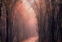 下轮对南京城市！广西平果主帅：要把进攻做好，看谁能把握机会.