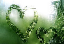 [亚冠]客场输球 上海申花无缘亚冠八强.